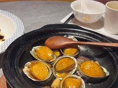 生啫鲍鱼-啫神·广州地标美食(北京路店)