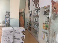 -瑞派申生动物医院·24H夜诊·国际动物医疗中心·骨外科(吴中路店)