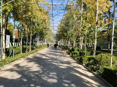 -南宫五洲植物乐园