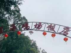 -区海鸡场饭店(石壁店)