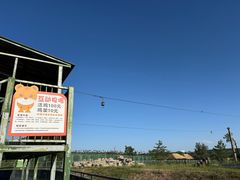 -鄂尔多斯野生动物园