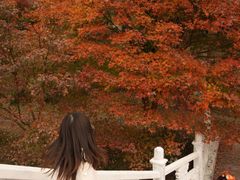 -田野绿世界