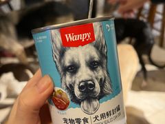 -萌喵宠狗爱心宠咖
