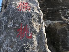 -大岭沟猕猴桃谷风景区