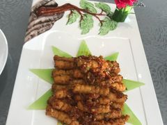 香煎蚕丝菌-星海一品