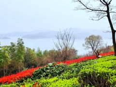 -天目湖涵田半山温泉
