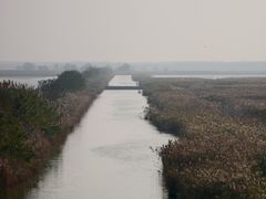 -盐城丹顶鹤湿地生态旅游区