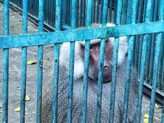 -秦皇岛野生动物园