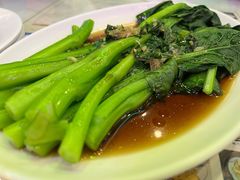 广东菜心-澳门陈光记烧味饭店(郎家园店)