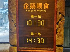 -波塞冬海底世界