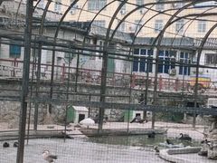 -保定市动物园