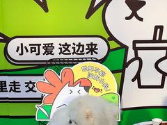 -瑞虹新天地月亮湾