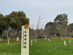 -贡湖湾湿地公园