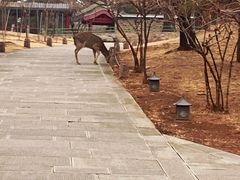 -承德避暑山庄景区