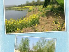 -兰陵国家农业公园