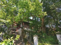 -蒋氏故居