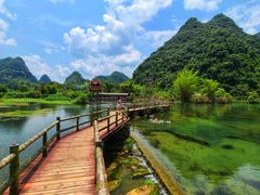 -靖西鹅泉风景区