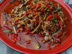 仔姜奇猫儿-拈一筷子·宜宾江湖菜(十一街店)