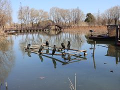 -长兴太湖图影湿地文化园