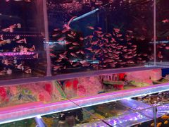 -双季花艺园艺市场(浦东店)