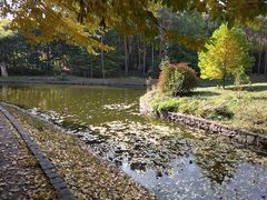 -维乐口腔医院(福清院)