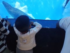 -多彩贵州城极地海洋世界