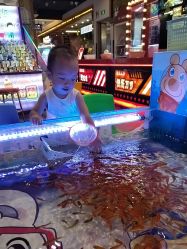 -卡通尼·Safari非洲探索乐园·生日会(金桥国际商业广场店)