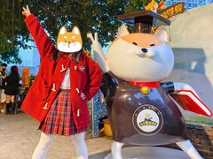 -柴犬高等学院·狗咖·柴犬售卖·宠物训练