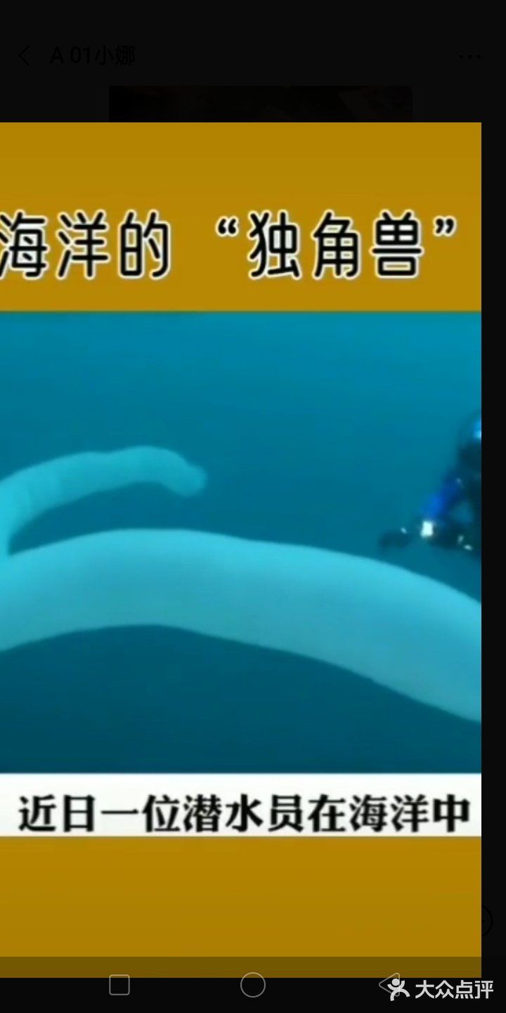 它看上去就像是一个巨大的圆筒，健身还泛着粉色和蓝色的光