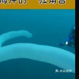 它看上去就像是一个巨大的圆筒，健身还泛着粉色和蓝色的光
