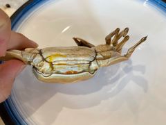 -金狮国际酒店自助餐(金狮店)