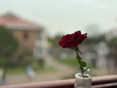 -橘洲1910花园江景西餐厅
