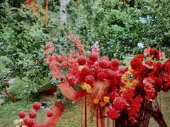 -汕头龙光喜来登酒店