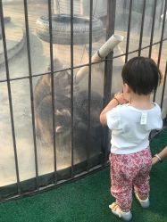 -萌宠亲子动物乐园(槐房万达店)