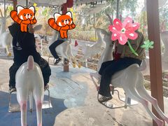 -盈香心动乐园