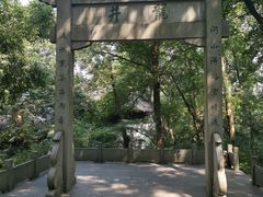 -十八棵（老龙井）御茶园(老龙井店)