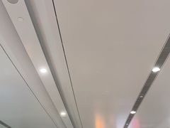 -麦当劳(北京大兴机场二层国内到达(安检外)店)