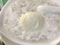 椰汁西米露-仁信老铺甜品(北京路店)