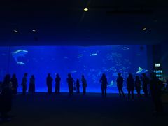 -鹿儿岛水族馆