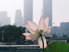 -秋水广场
