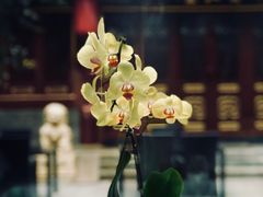 -止观小馆·辽河口渔家菜(王府井店)