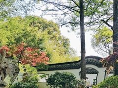 -上海醉白池公园