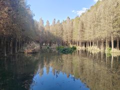 -捞渔河湿地公园