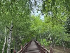 -帽儿山国家森林公园