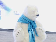 -Mr·Kuma酷么先生雪之乐园