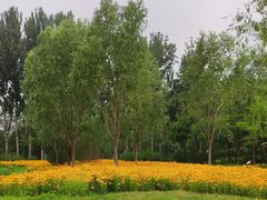 -东郊湿地公园