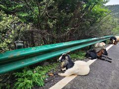 -泸沽湖里格半岛