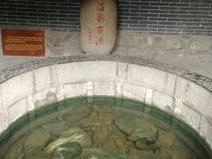 -华清宫景区