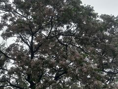 -济南大明湖景区