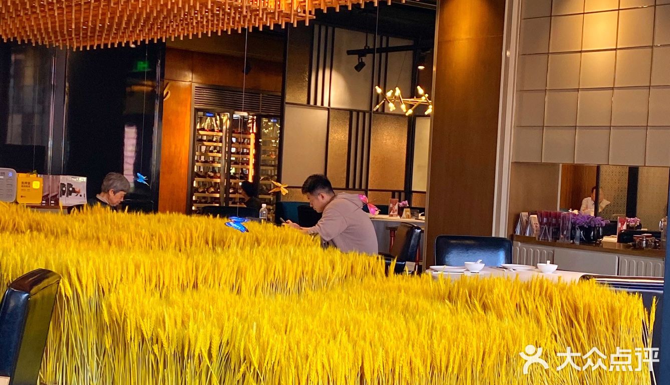 外滩探店｜环境雅致适合聚餐的粤菜馆